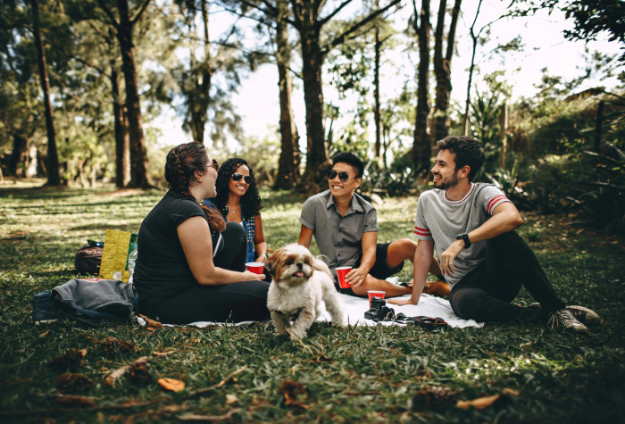 a group of friends and a dog having a picnic