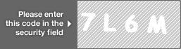 captcha code for visual authentication  number 7 letter L number 6 letter M