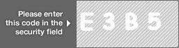 captcha code for visual authentication  letter E number 3 letter B number 5